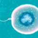 Illustration for article titled Biological Life Regrets Waiting 2.3 Billion Years To Try Sex